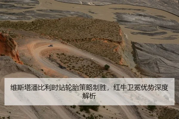 维斯塔潘比利时站轮胎策略制胜，红牛卫冕优势深度解析
