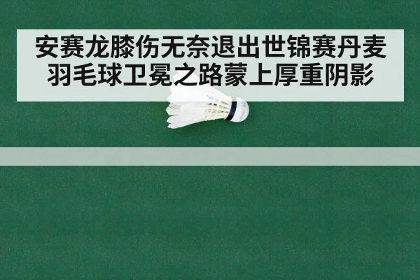 安赛龙膝伤无奈退出世锦赛丹麦羽毛球卫冕之路蒙上厚重阴影