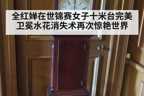 全红婵在世锦赛女子十米台完美卫冕水花消失术再次惊艳世界